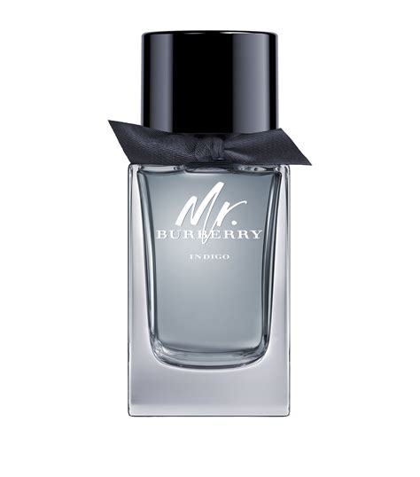 mr burberry eau de toilette deodorant stick|mr burberry indigo fragrantica.